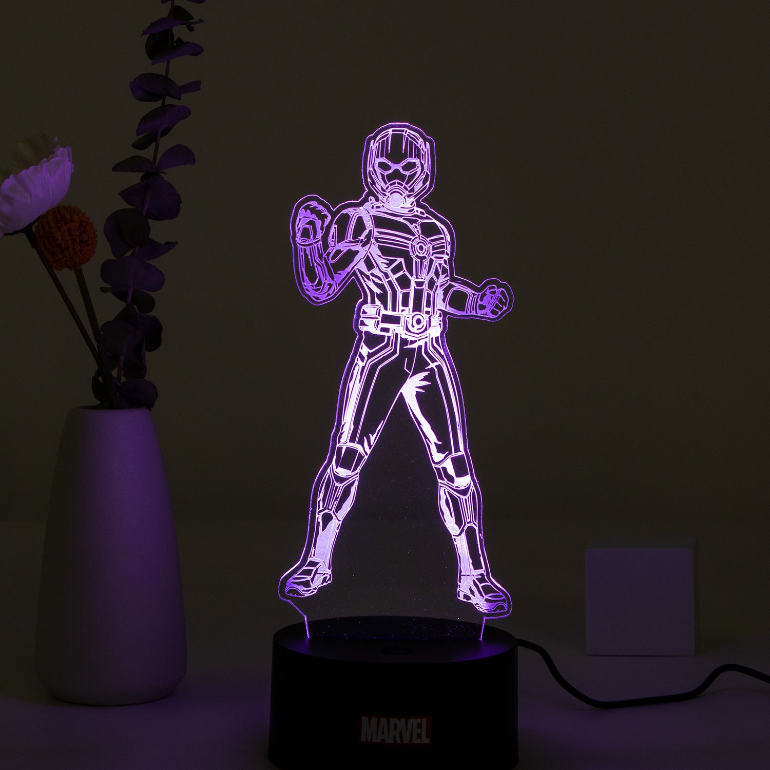 Marvel 3D RGB App Controlled USB LED Night Light Ant Man