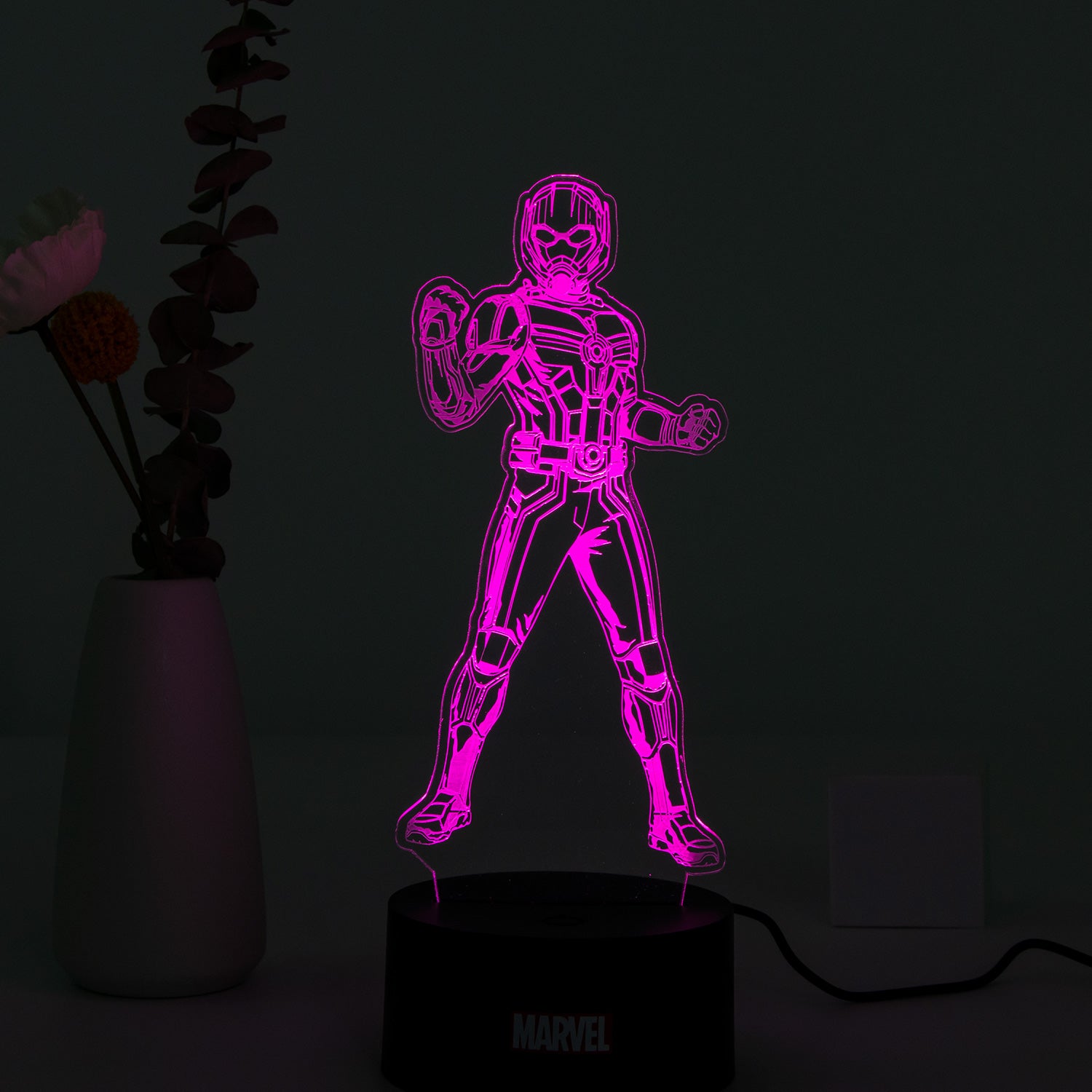 Marvel 3D RGB App Controlled USB LED Night Light Ant Man